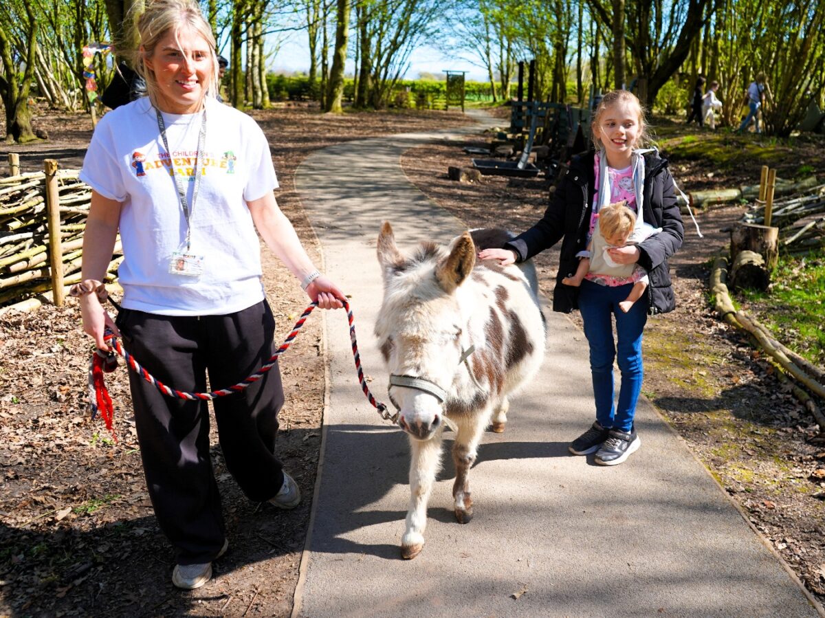 An adult is leading a small pony on a rope as a child is stroking the pony.